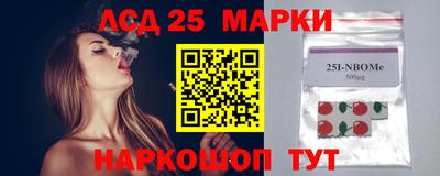 индика Будённовск