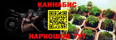 индика Будённовск