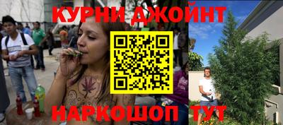 индика Будённовск