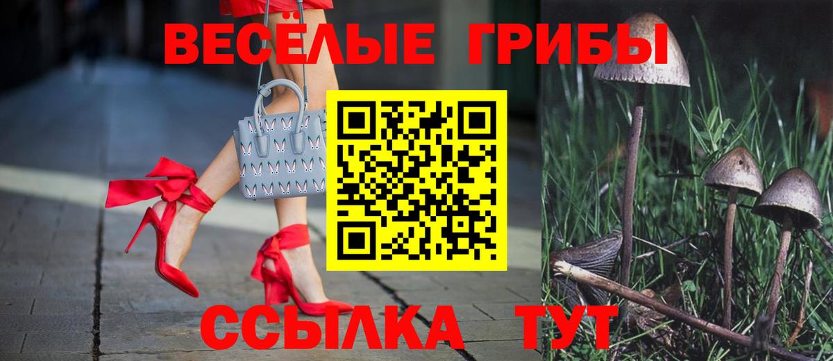 Псилоцибиновые грибы Psilocybe  Вход с VPN  Сергиев Посад 